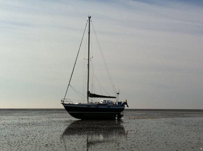 Hallig 35 (orig.34)
