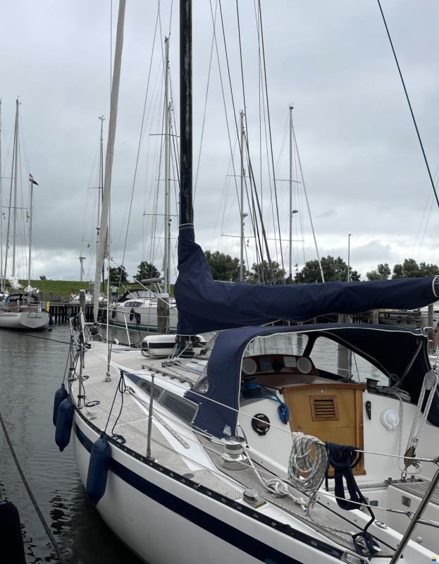 Kalik 33