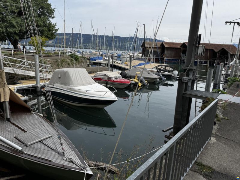 Chris Craft 240 Cuddy Cabin