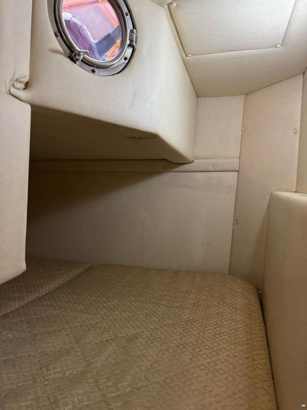 Sea Ray 240 DA Sundancer