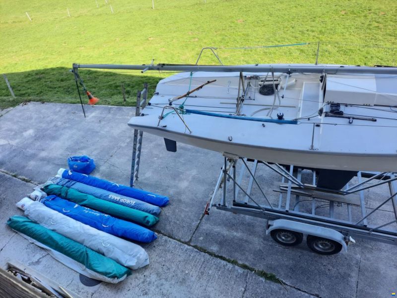Dolphin 81 Dolphin 81