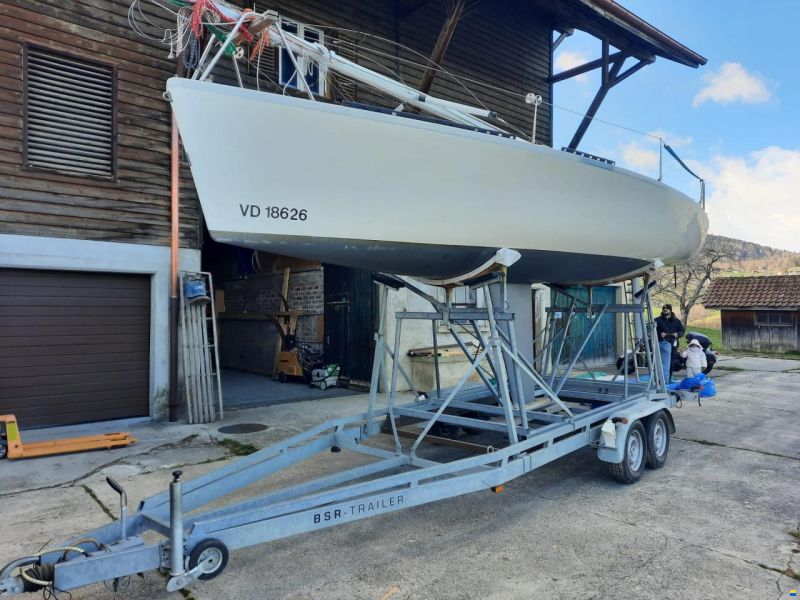 Dolphin 81 Dolphin 81