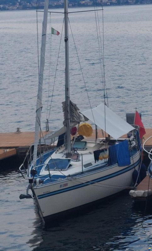 Bianca 320