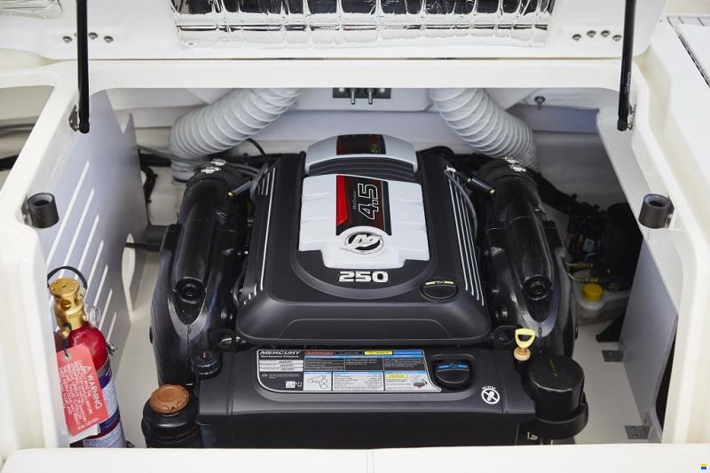 Sea Ray SPX 210 Europe