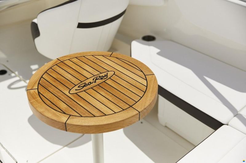 Sea Ray SPX 210 Europe