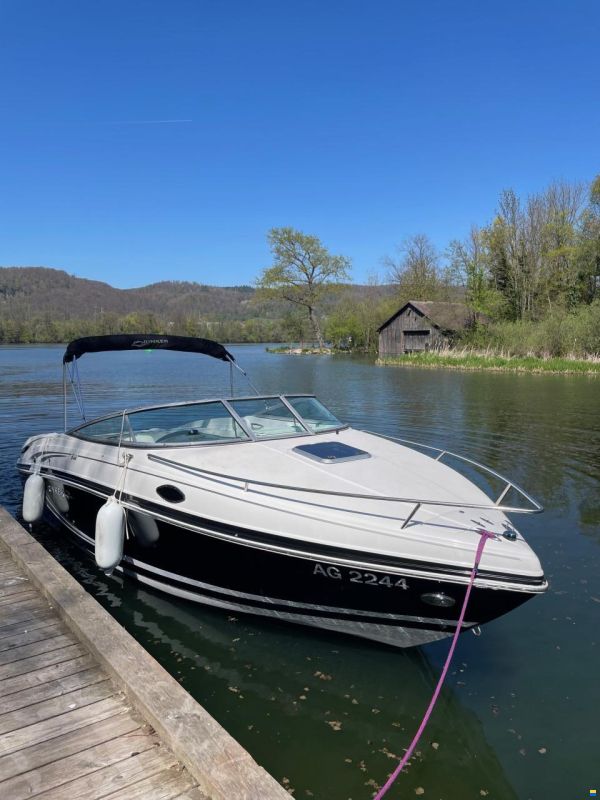 Rinker 246CC
