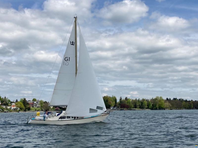 Telfa 29 Königskreuzer