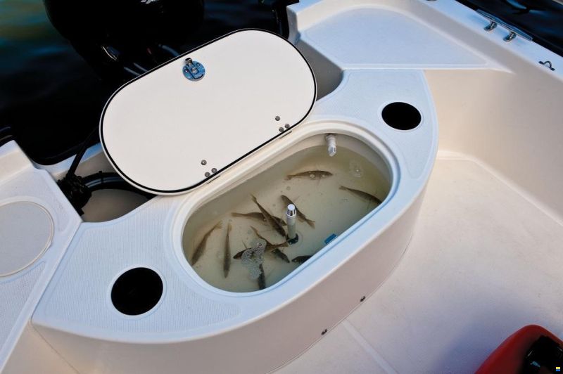 Boston Whaler 150 Montauk