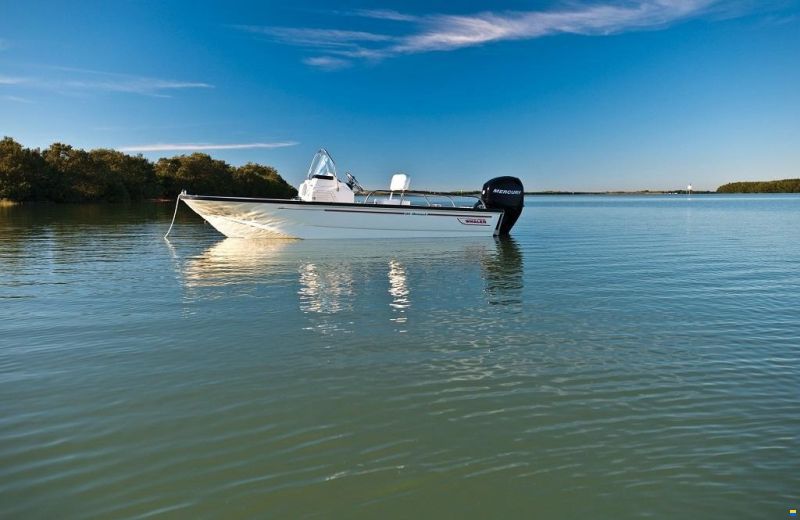 Boston Whaler 150 Montauk