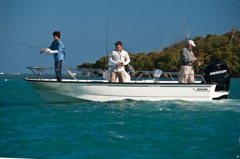 Boston Whaler 190 Montauk