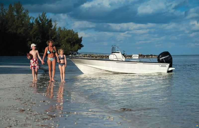 Boston Whaler 190 Montauk