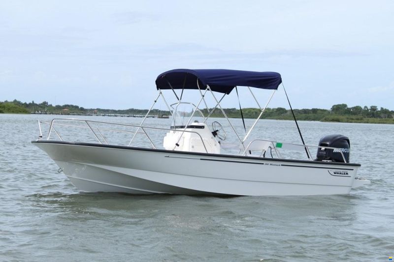 Boston Whaler 190 Montauk