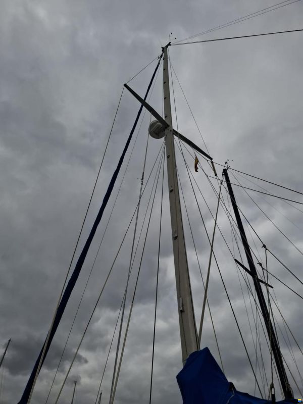 Reinke Taranga 10 EX