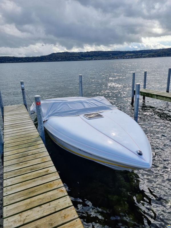Rinker Captiva 236