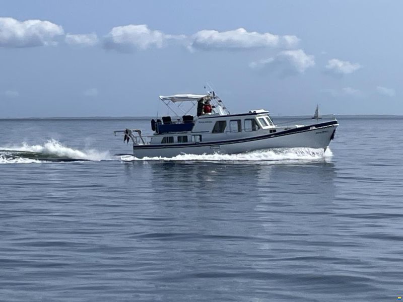 Riverhopper