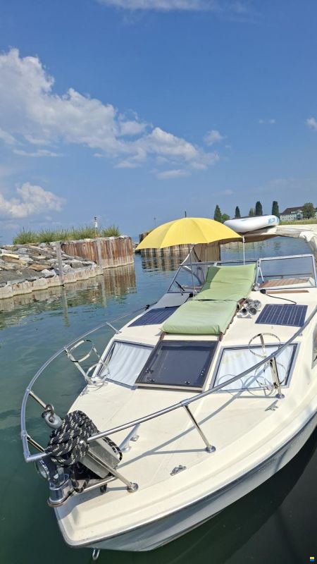 Bayliner Express