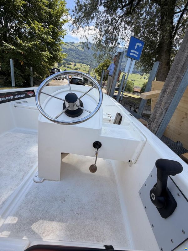 Quicksilver 440 Fish