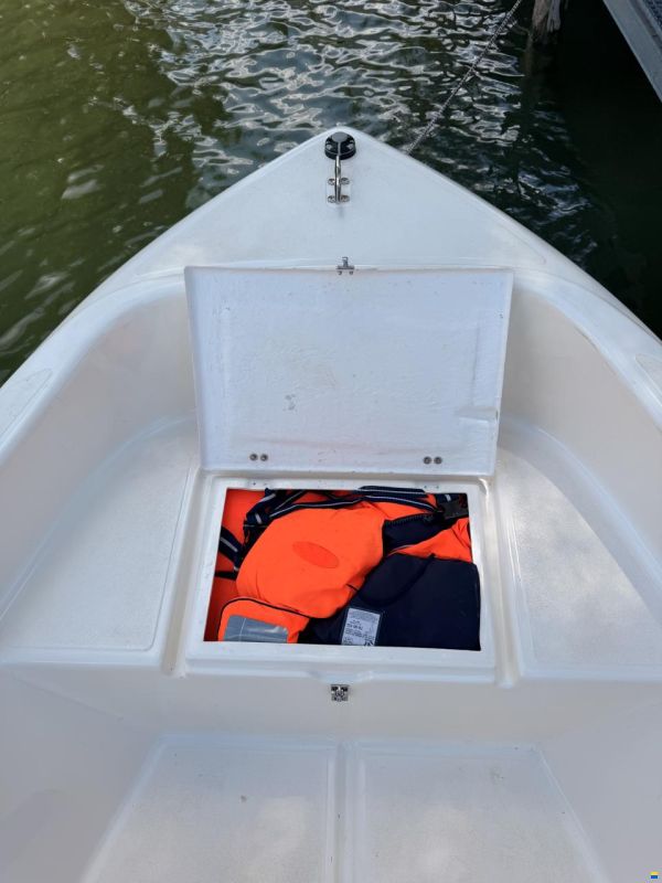 Quicksilver 440 Fish