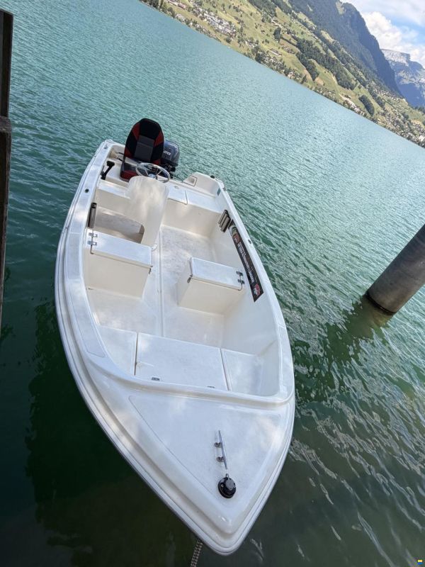 Quicksilver 440 Fish