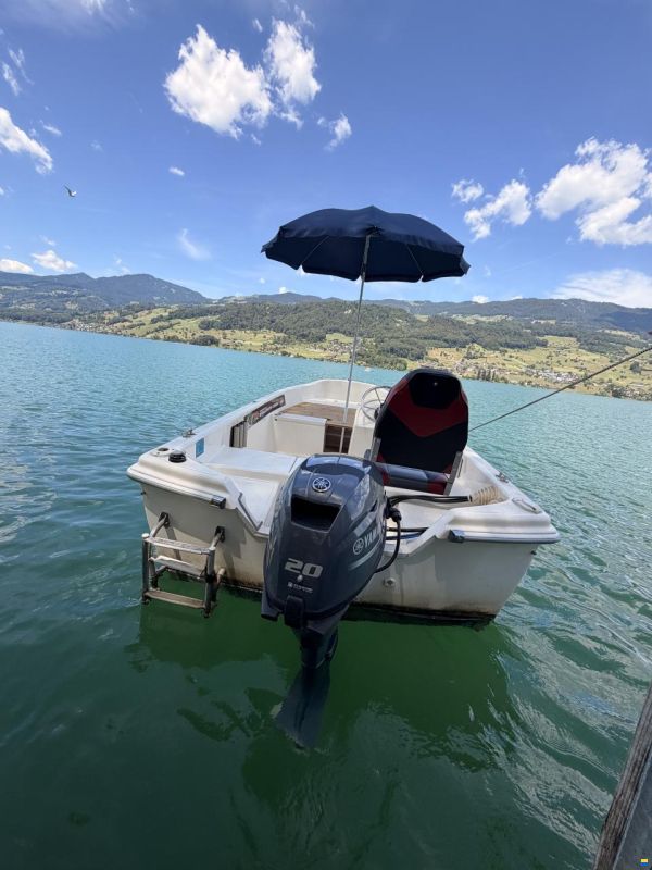 Quicksilver 440 Fish