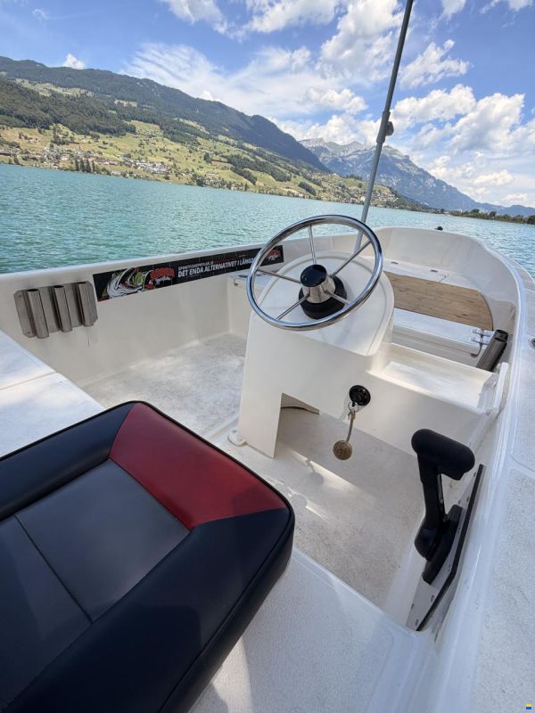 Quicksilver 440 Fish