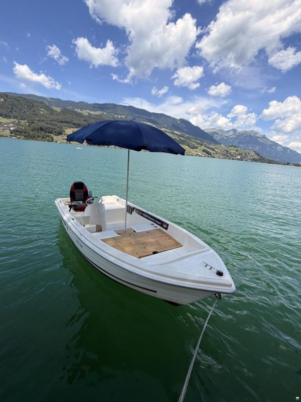 Quicksilver 440 Fish
