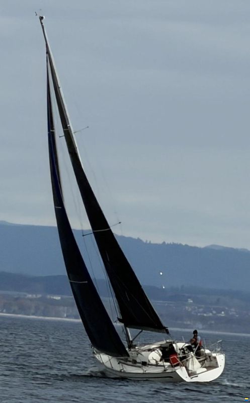 Bavaria 35 Match