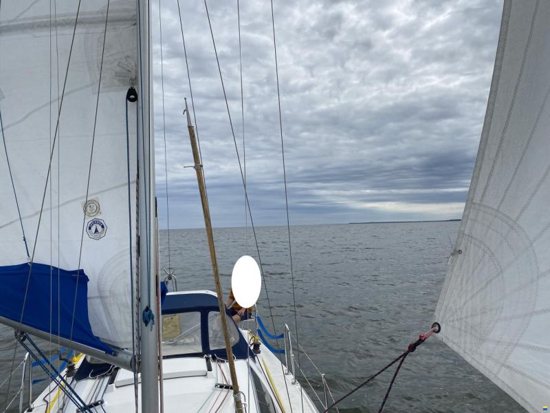 Northman Maxus 28