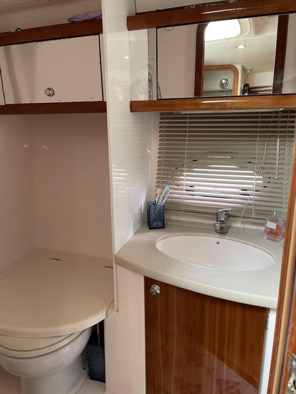 Prinz 36 Open