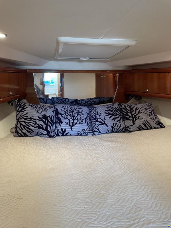 Prinz 36 Open