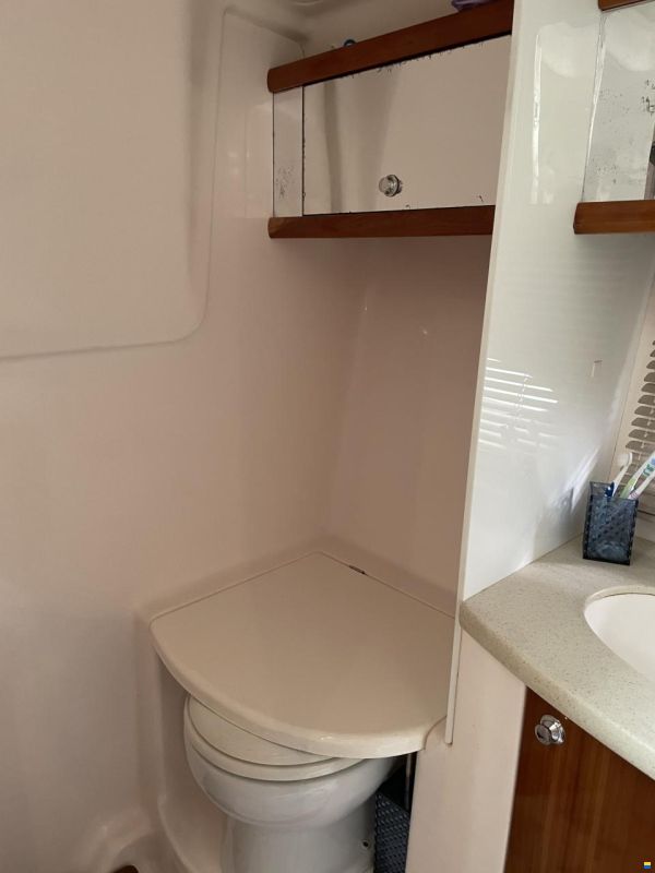 Prinz 36 Open