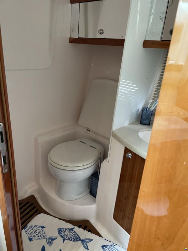 Prinz 36 Open