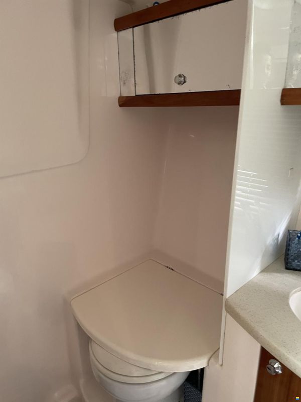 Prinz 36 Open