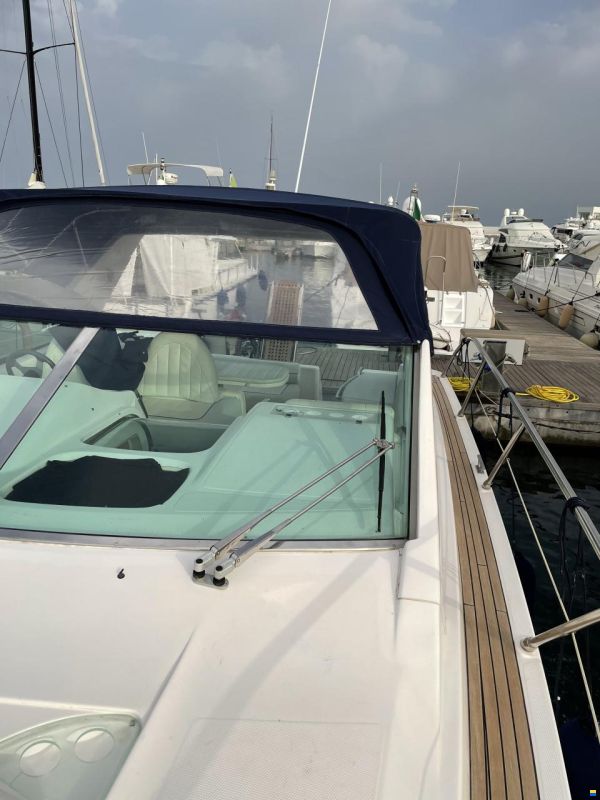 Prinz 36 Open