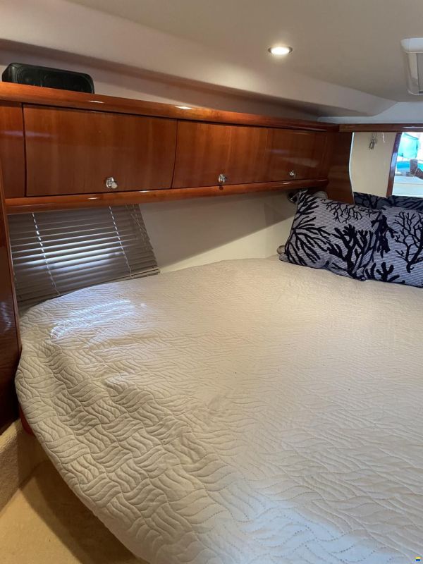 Prinz 36 Open