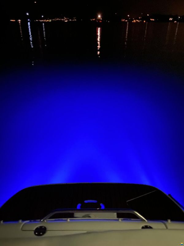 Sea Ray 315 Sundancer