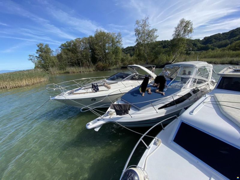 Cranchi Endurance 33