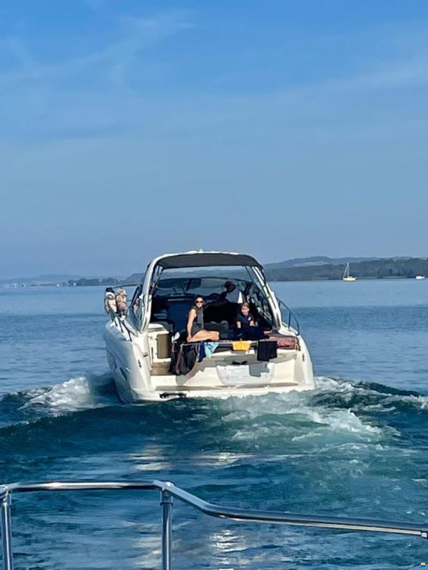 Cranchi Endurance 33