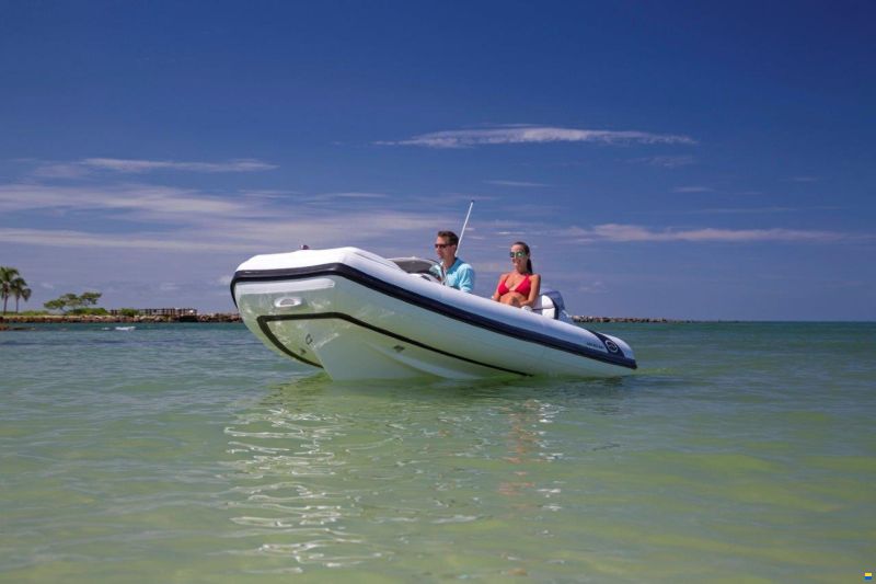 Walker Bay Tender Generation 450 DLX