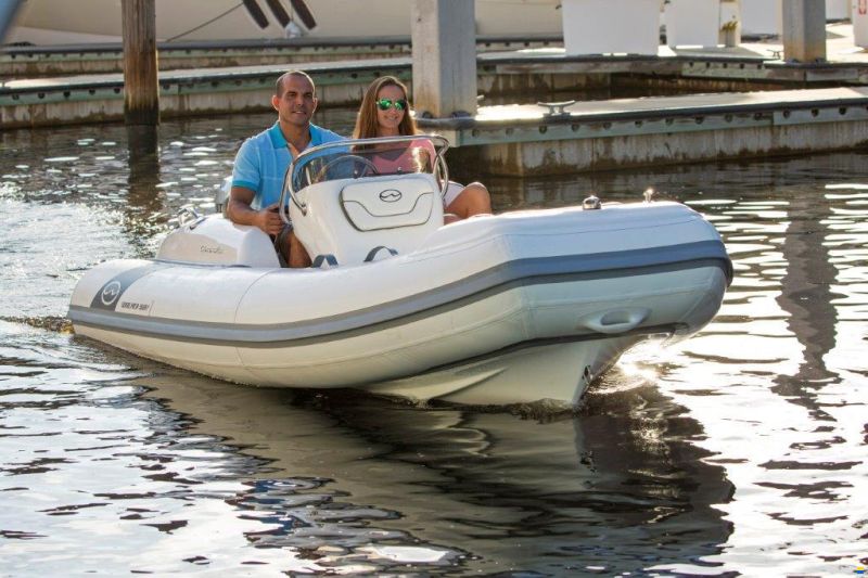 Walker Bay Tender Generation 400 DLX