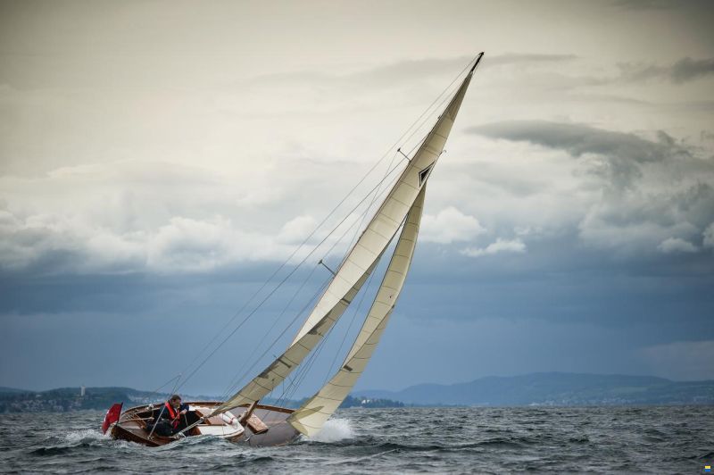 Portier Hocco/Tumlare