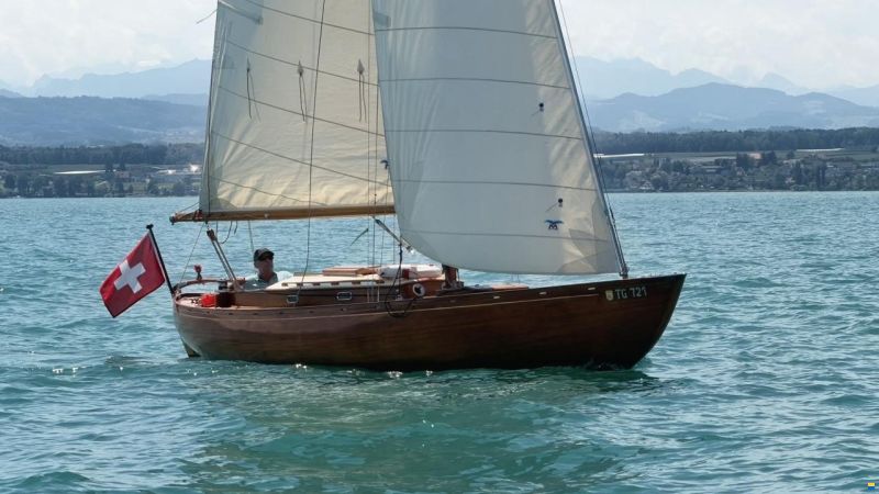 Portier Hocco/Tumlare