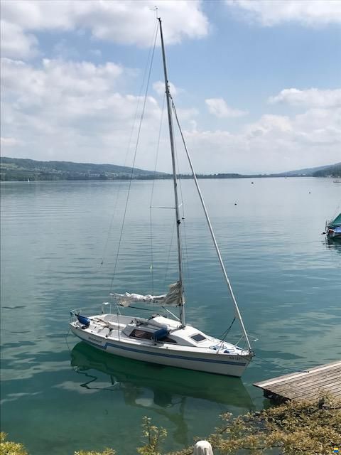 Archambault Surprise