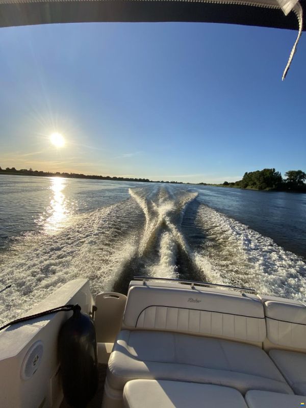 Rinker 270 Fiesta Vee