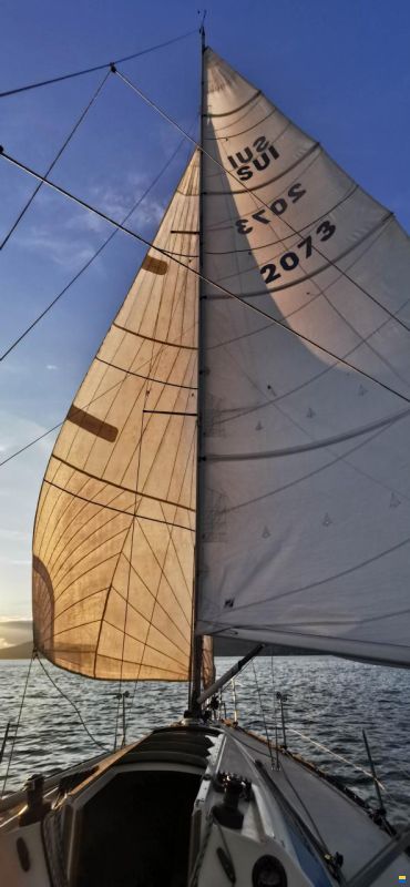 X-Yachts X95