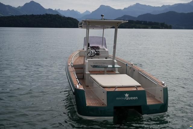 Heinrich Tender08 T-Top