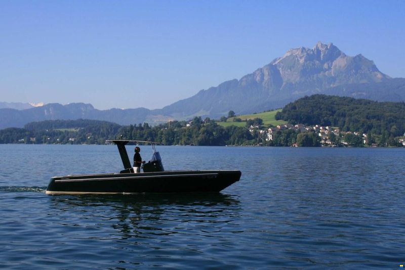 Heinrich Tender08 T-Top