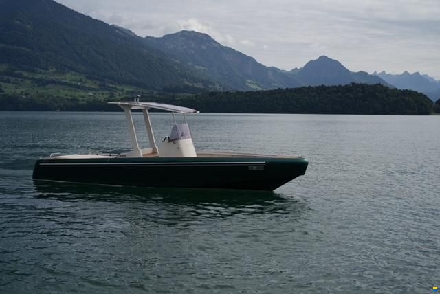 Heinrich Tender08 T-Top