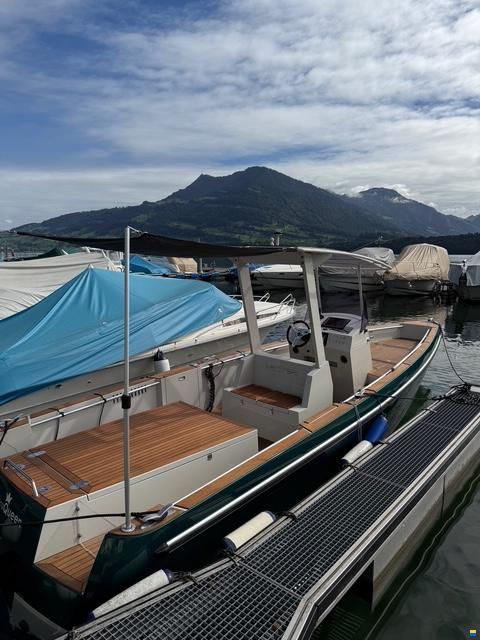 Heinrich Tender08 T-Top