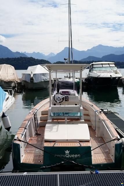 Heinrich Tender08 T-Top